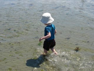 Carmen Marvici's album, Our trip to Vancouver Island