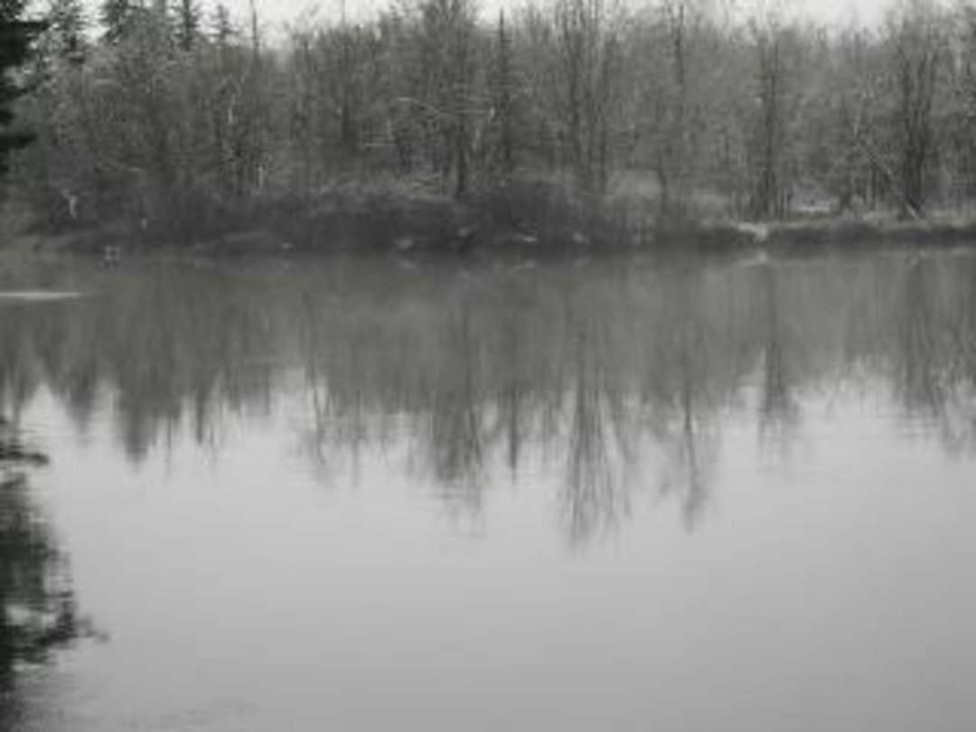 Robin Ellison's album, Raquette river trip