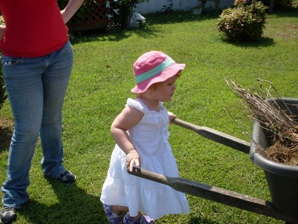 Joyce Kessler's album, Grandbabies and Great Grandbabies