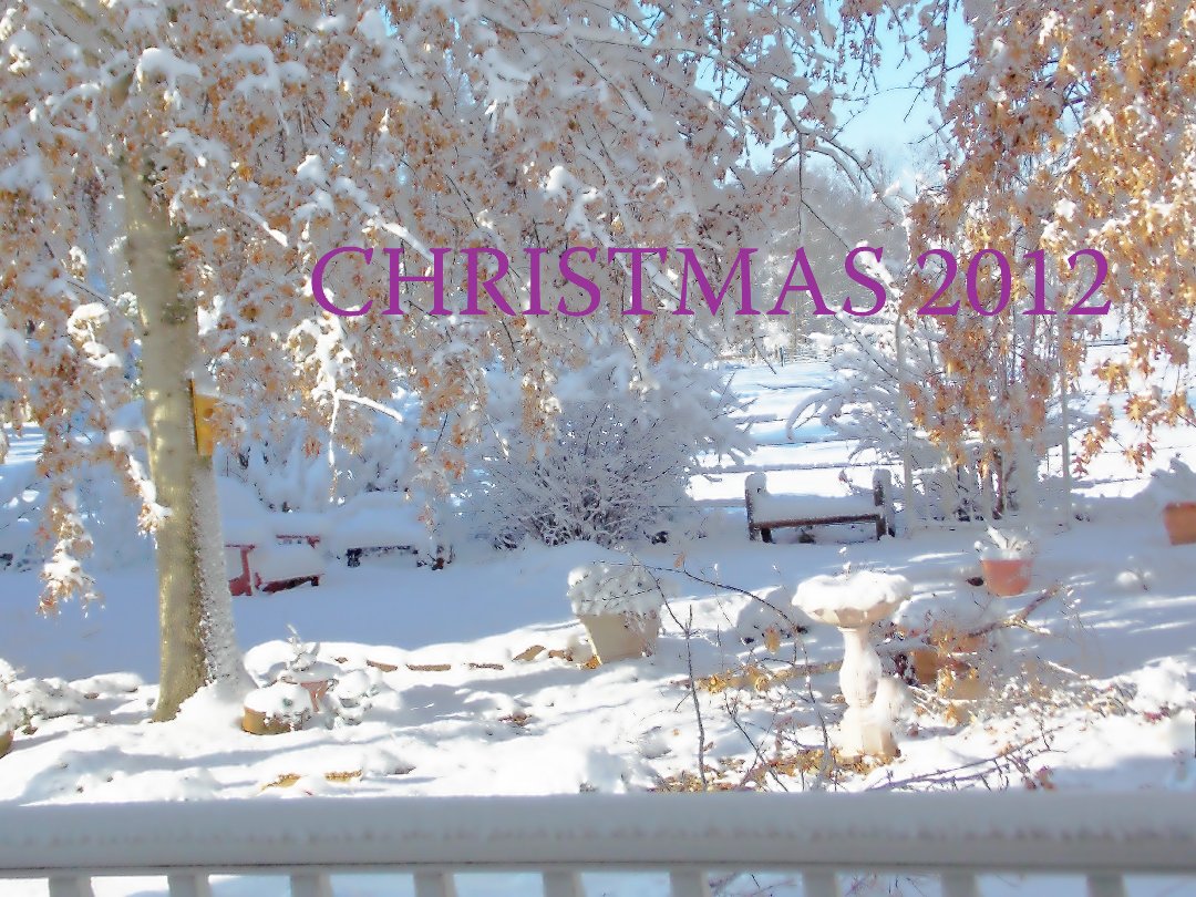 Patsy Taylor's album, Cover Photos