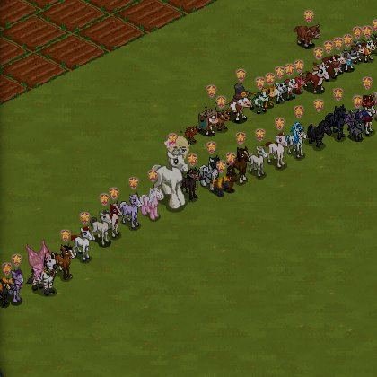 Foster Baxter's album, FarmVille Photos