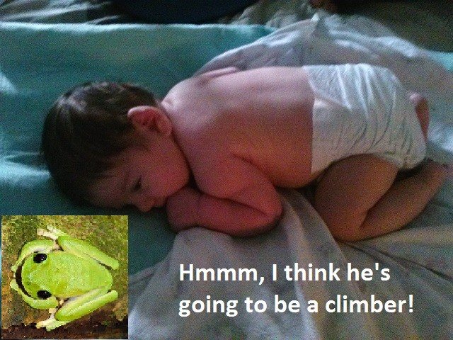 Michael Hearn's album, Timeline Photos