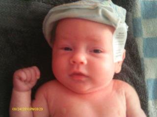 Laura Rhoades' album, Milly