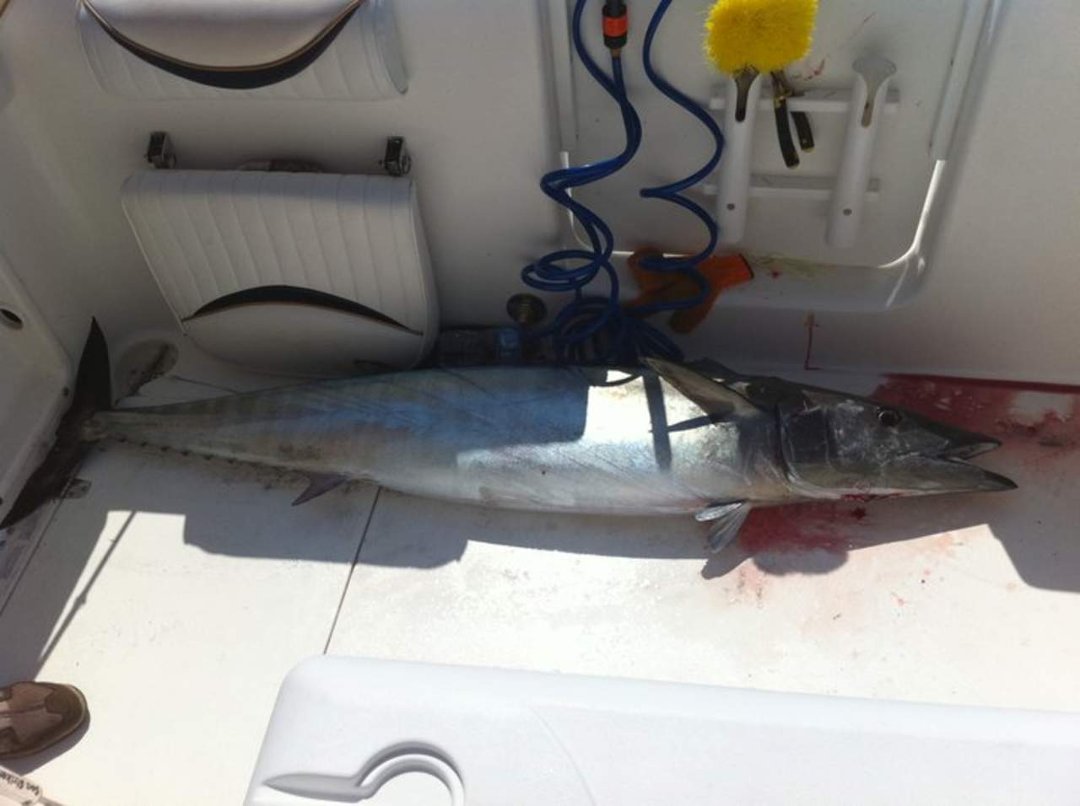 Ray Brackin's album, Fishin 2010