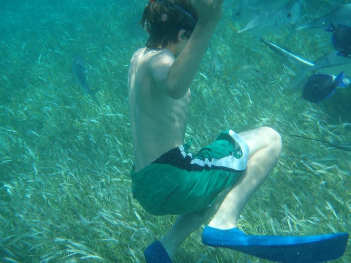 Scott Avery's album, Belize April 2010