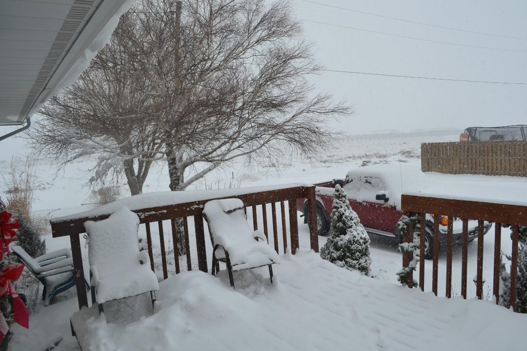 Chris Carroll's album, New Years Eve Snow 2012