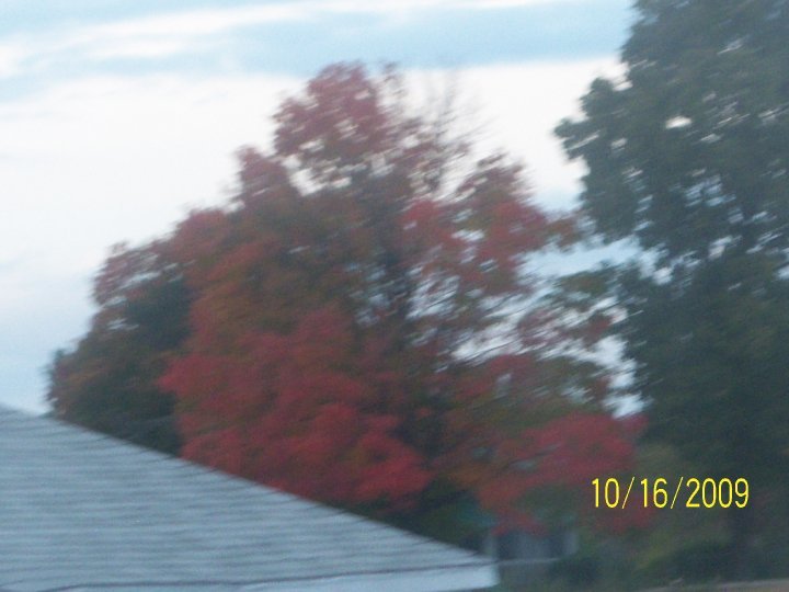 John Barwiler's album, My album