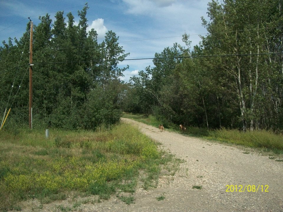 Karen Epp's album, Summer, 2012