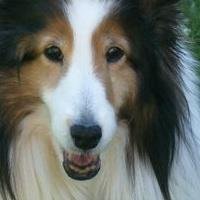 Ginger Wright's album, Profile Pictures