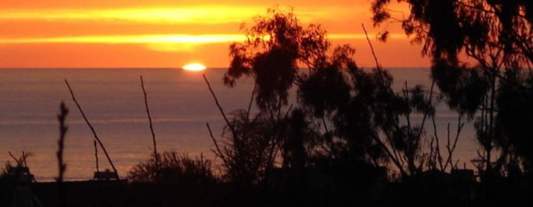 Mark Williams' album, Sunset on January 28th