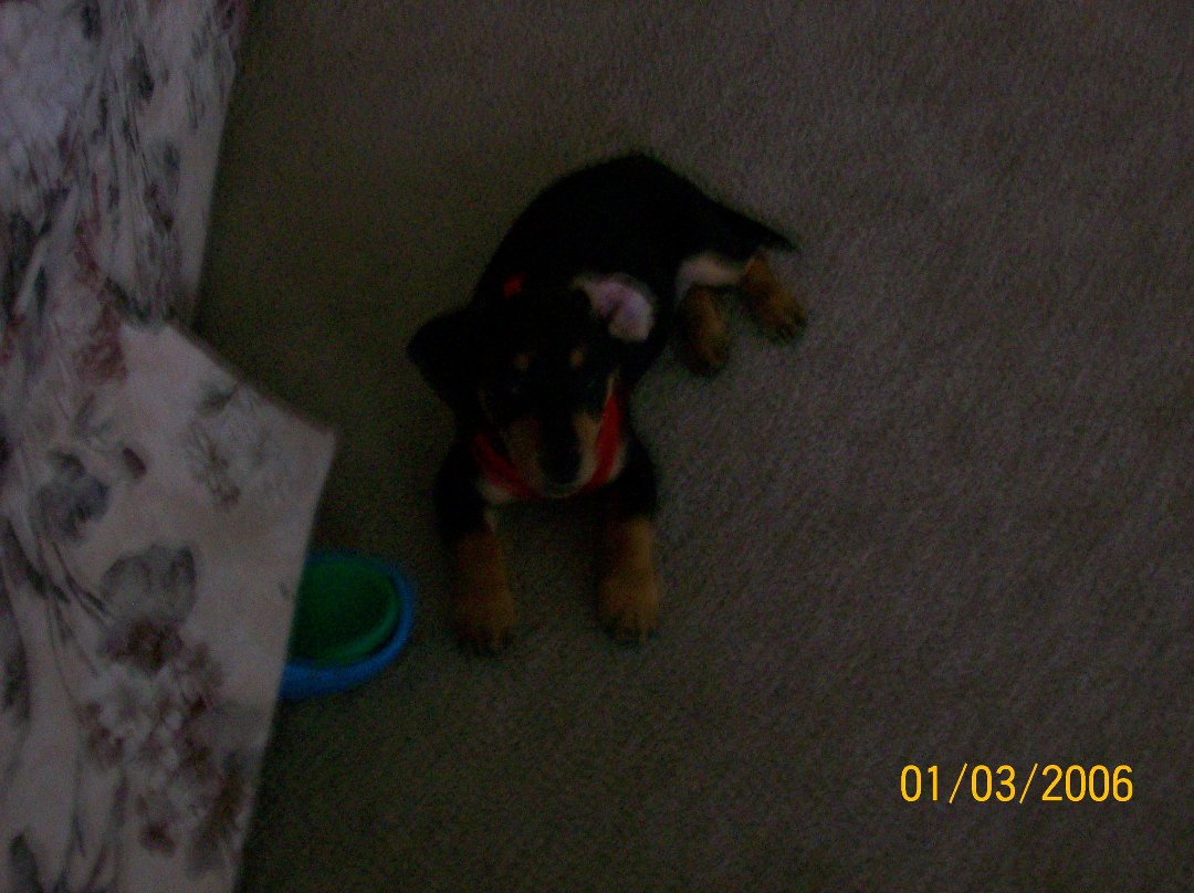 Meaghan Beverage's album, Kodak EasyShare