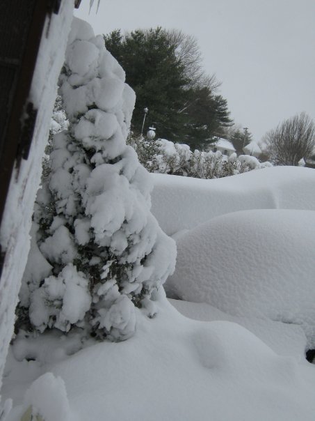 Gerald E. Rice's album, Blizzard 2010