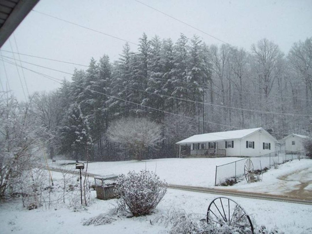 Patsy Wombles' album, Snow 2-19-2012