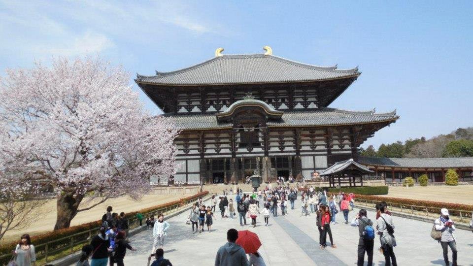 Dan Hesser's album, Japan, March - May 2013 - Osaka