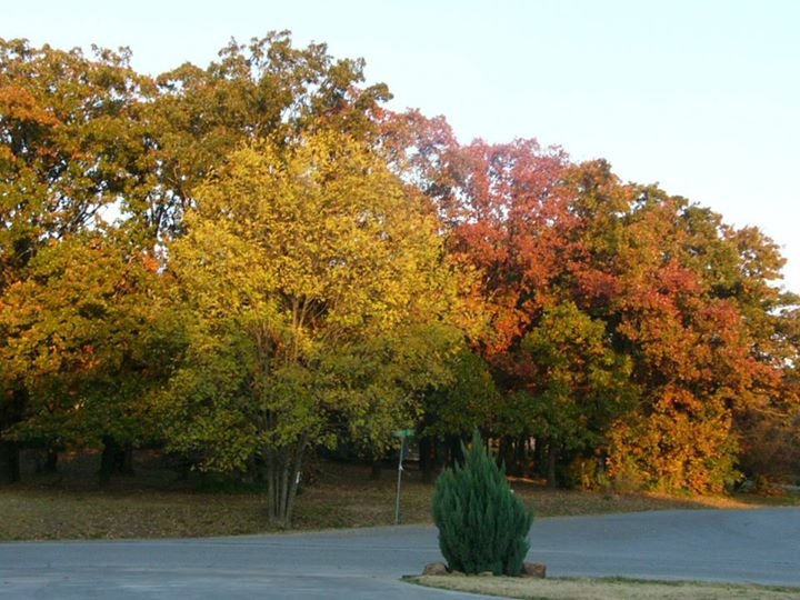 Terry Clark's album, Fall at the Clark house