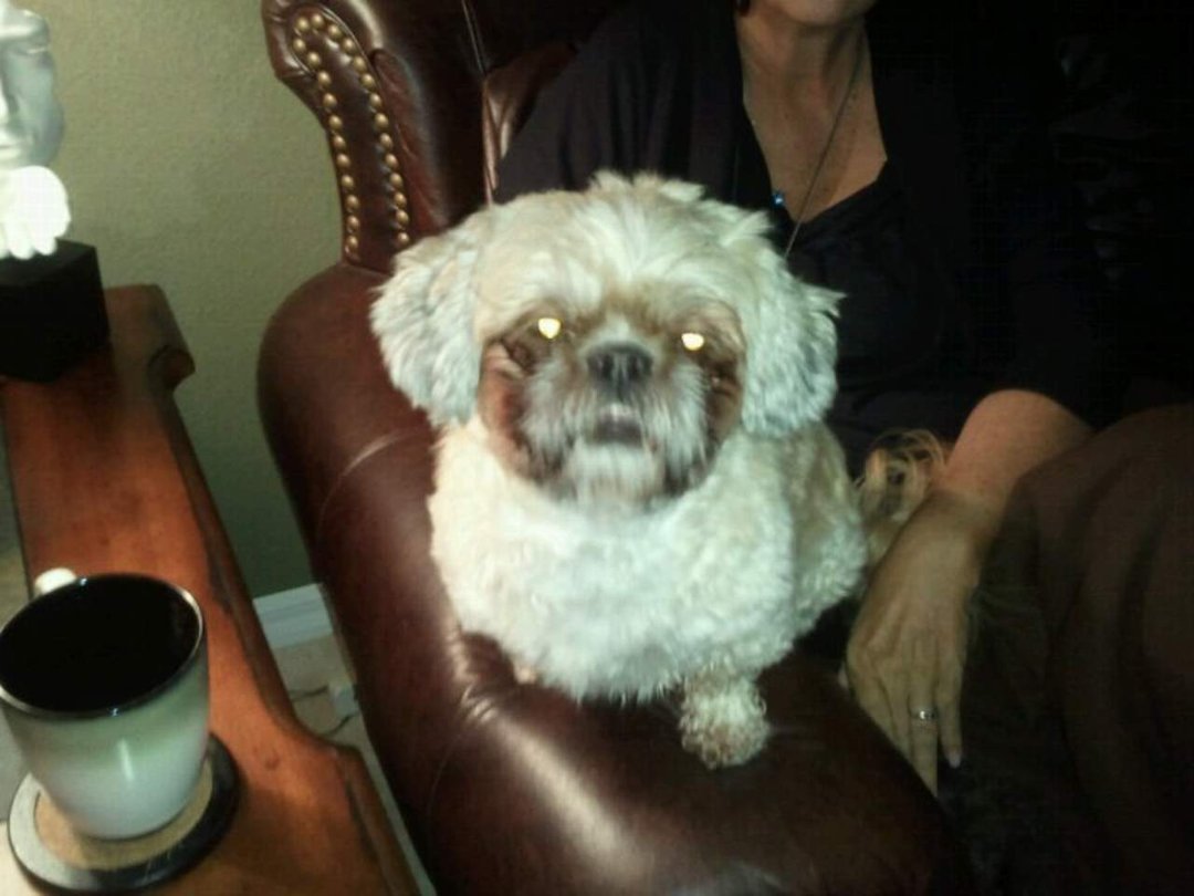Gary Cooper's album, FriendCaster for Android Photos