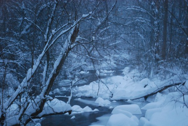 Donna Greenwald's album, winter wonderland