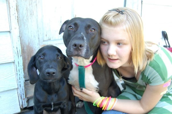Debbie Muhlestein's album, Pets at our house!