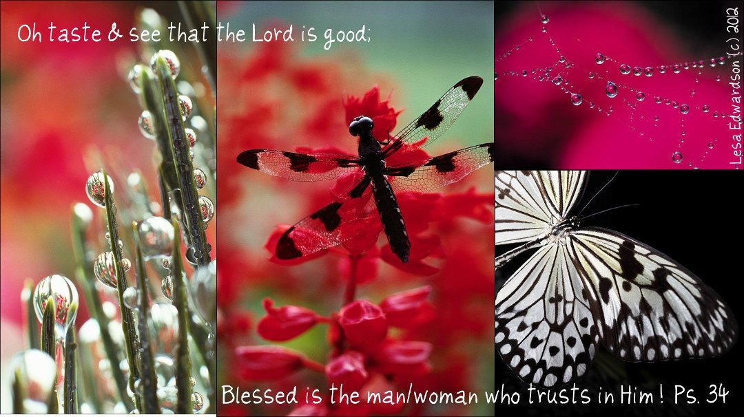 Lesa Angier's album, Timeline Photos