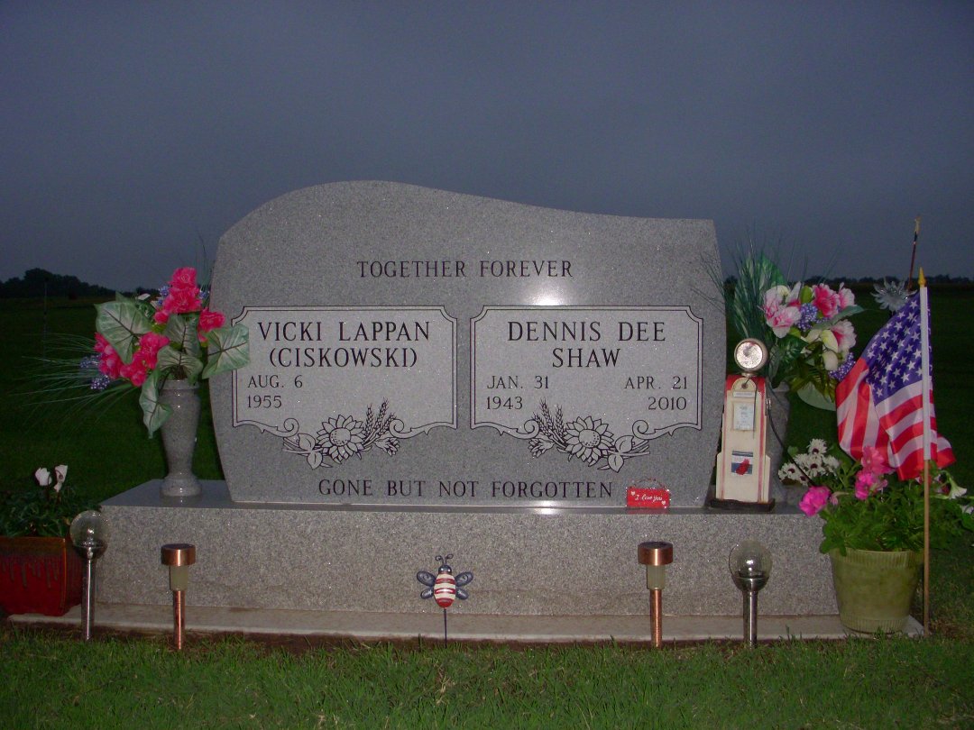 Vicki Lappan's album, Profile Pictures