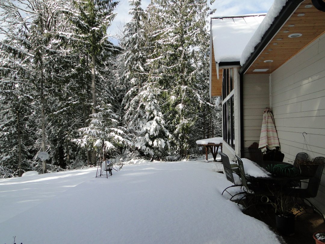 Coralee Green's album, Snow 2/2011