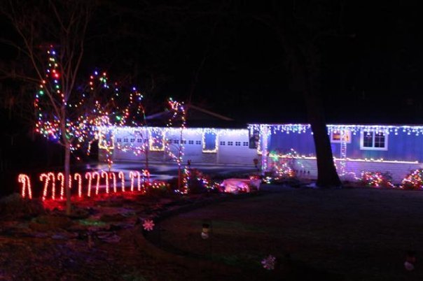Dennis Bashor's album, Christmas 2009 lights and pets