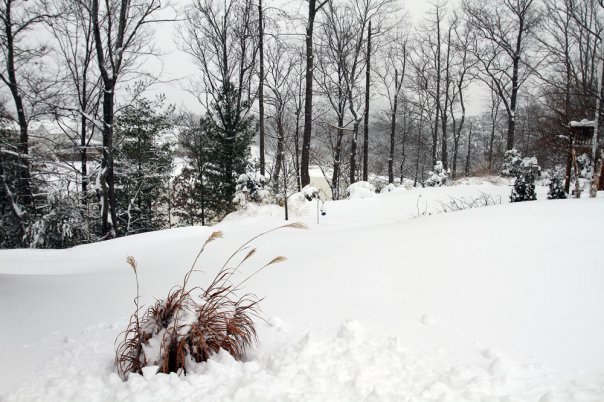 Cam Abernethy's album, 2009 Winter Storm Pictures