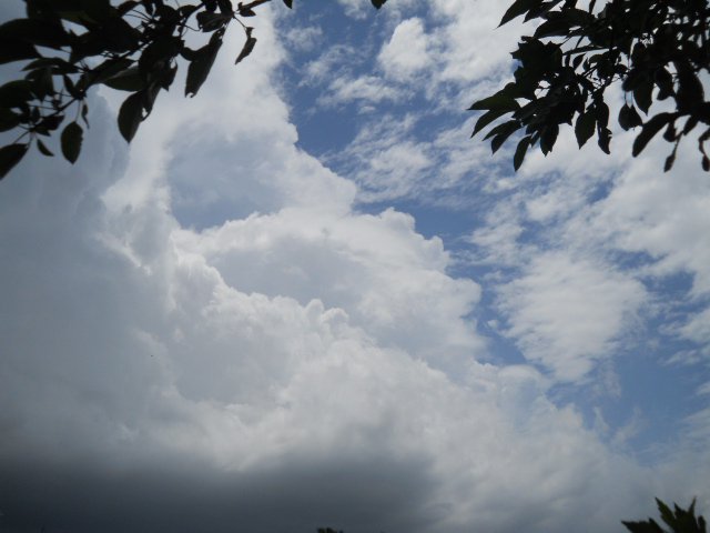 Melissa Deckard's album, Cover Photos