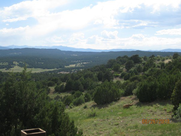 Jennifer Lyon's album, LYON Family Reunion at the Ranch
