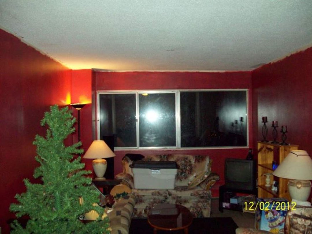 Patrick O'Quinn's album, My Newly Painted LivingRoom Did My Self