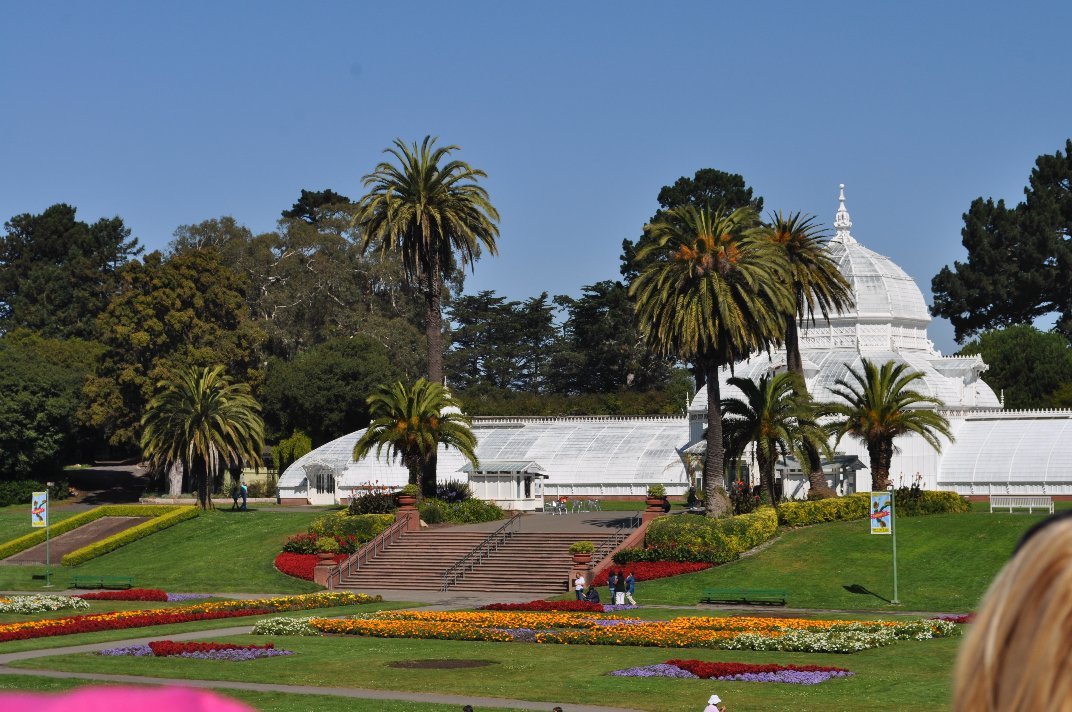 Donna Rutherford's album, San Francisco 2010
