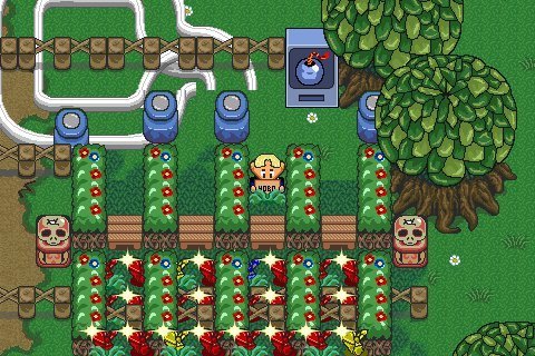 Brian Fox's album, Zombie Farm Photos