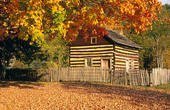 Tim Allen's album, Timeline Photos