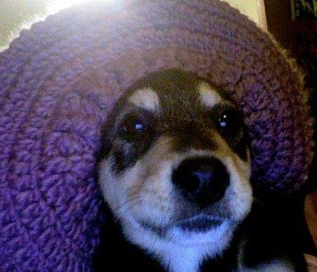 Debbie Fish's album, Profile Pictures