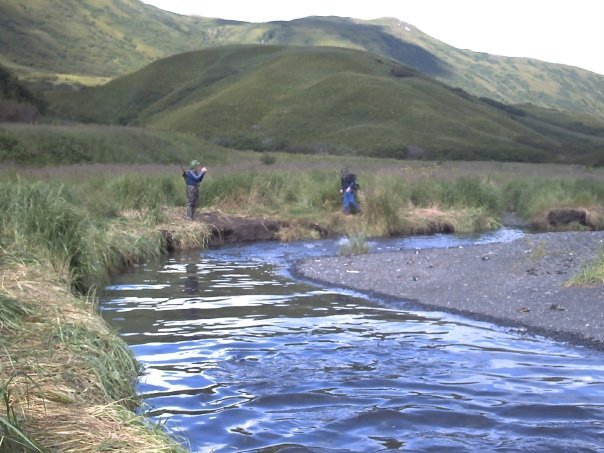 Tom Brewer's album, Kodiak, Alaska, August 2008