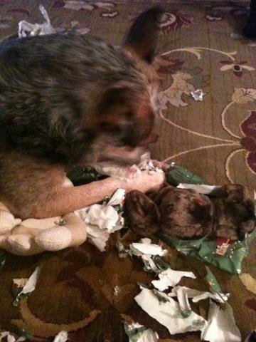 Cindy Johnson's album, iOS Photos