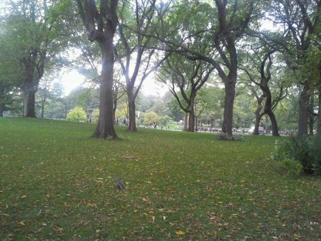 Kim Resendez's album, Mobile Uploads