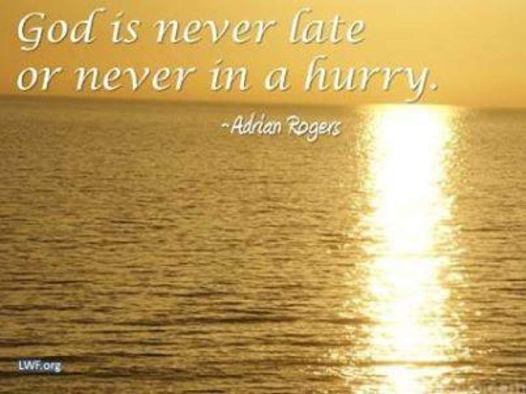 Tammy Ramirez's album, Timeline Photos