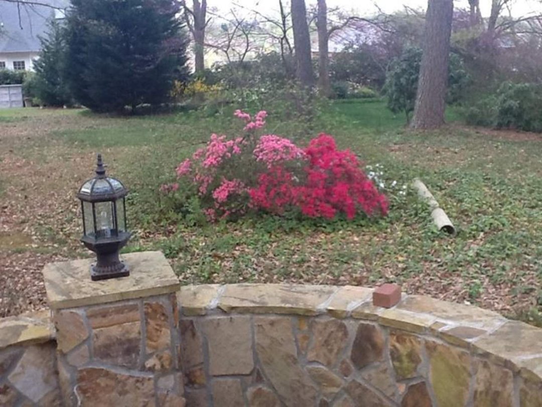 Susan Johnson's album, Mobile Uploads