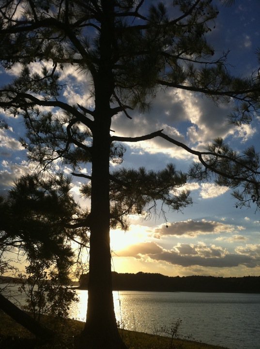 Jason Thomas' album, Mobile Uploads
