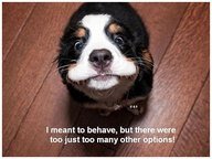 Teri Adams' album, Timeline Photos