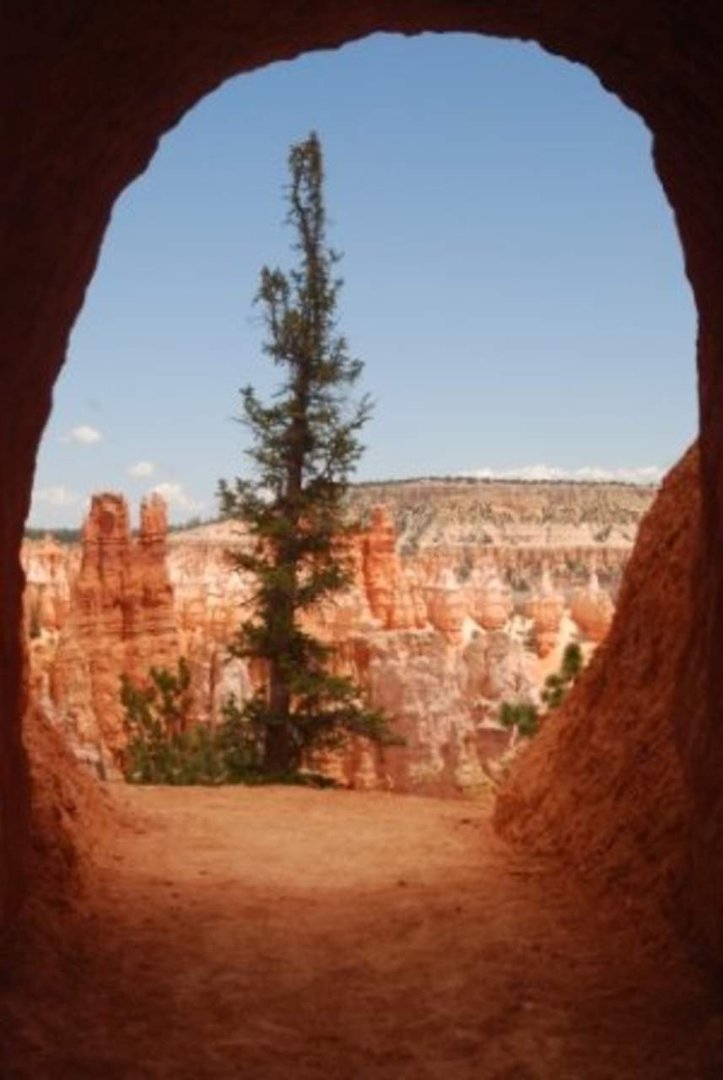 Michael Fingerle's album, West Trip 2010