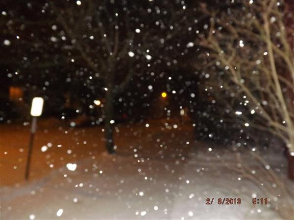 Steve King's album, blizzard
