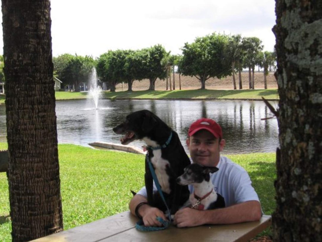 Dennis Ahern's album, Profile Pictures