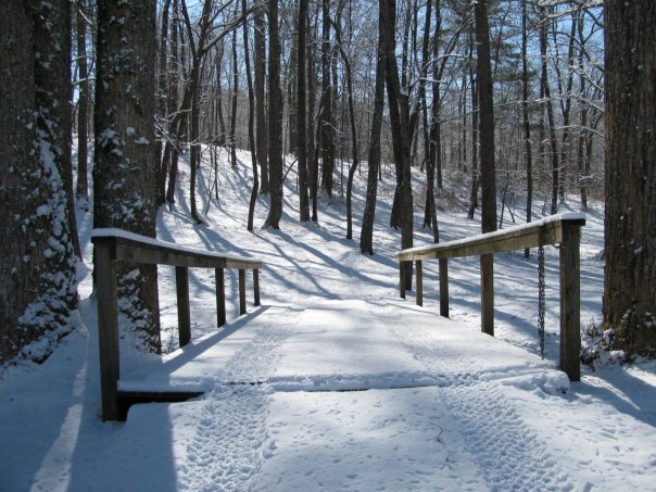 Tom Hellgeth's album, Snow time at Rogers Creek