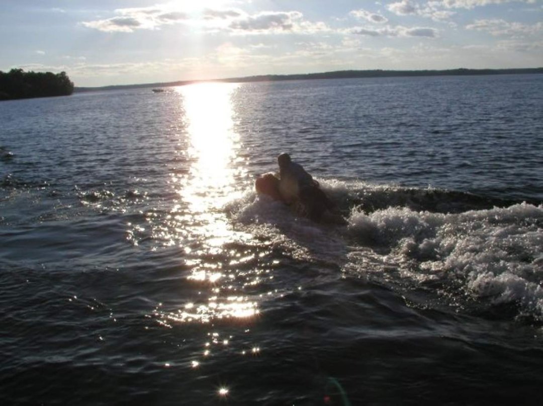 David Stevens' album, more Minnesota summer pics