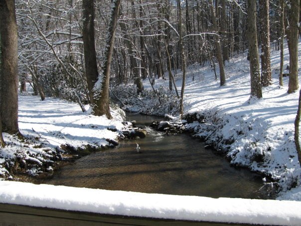 Tom Hellgeth's album, Snow time at Rogers Creek