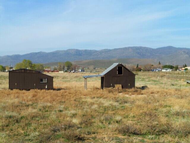 Norma McClean's album, Spring Break 2013