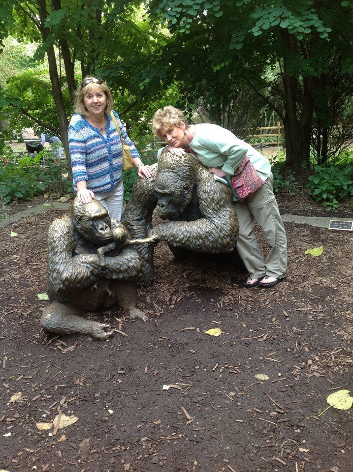 Jane Bailey's album, Mobile Uploads