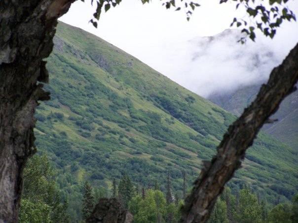 James Young's album, Alaska 2007, Mark II